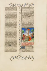 Cartalus, von seinem Vater gehängt, wird vom Galgen geschnitten